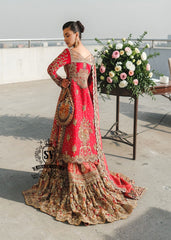 This exquisite red wedding dress exudes elegance and refinement, creating a sophisticated look perfect for a wedding. Chattapati Lehenga's designs are updated to reflect the latest trends, highlighting the bride's femininity.