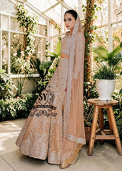 Mermaid wedding dress by Shazia Yasin. Elegant Lehenga design, high-quality fabrics, and a perfect fit for your special day. The unique design of a mermaid wedding dress always makes an impression, and with our Lehenga Choli designs, you'll win the hearts of your guests. See for yourself!
