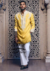 Elegant Embroidered Kurta designs, Comfortable fabric, flawless embroidery, and timeless design make it a perfect choice for weddings, festive occasions, and formal celebrations.