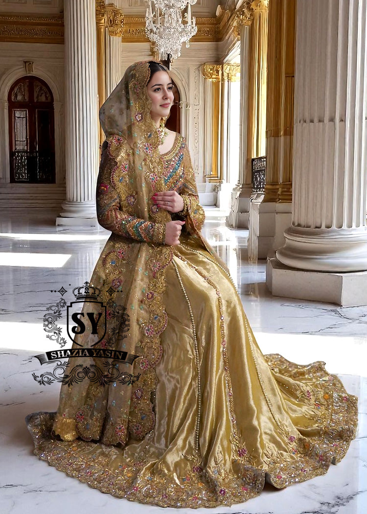Traditional Indian Wedding Dresses Leander Texas USA Indian Wedding Lehenga Choli