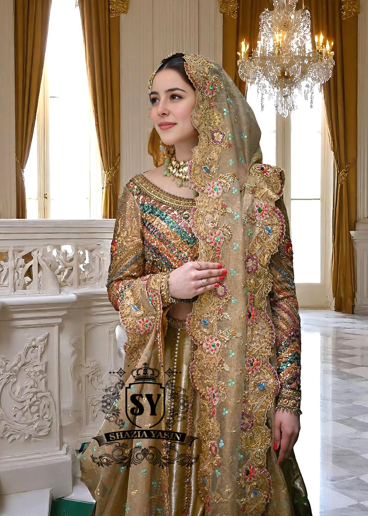 Traditional Indian Wedding Dresses Leander Texas USA Indian Wedding Lehenga Choli