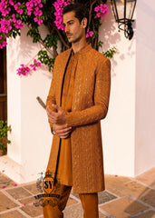 Latest arrival - feast your eyes on this stunning creation Prince Coat featuring vibrant thread embroidery and ethereal soft silk kurta Pajama.