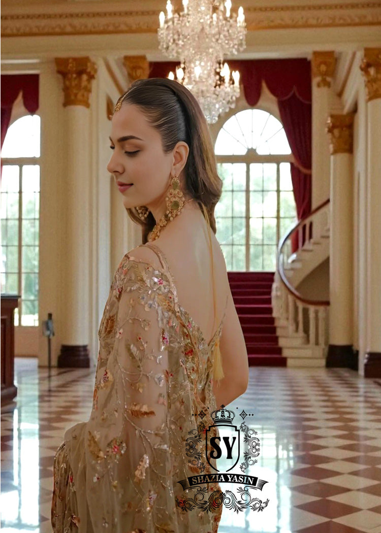 Pakistani Saree Indian Saree Bridal Saree UK USA Canada Buy Modern Pakistani Saree Designer Net Saree